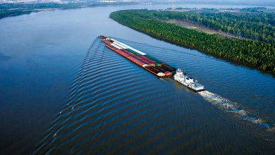 Life Along the Mississippi: History, Culture, and Ecology