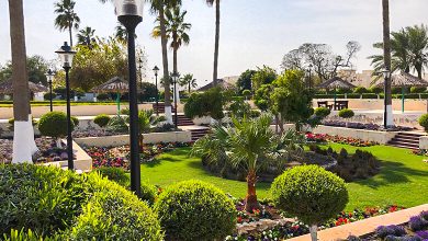Al Wakrah Public Garden: A Picturesque Oasis in the Desert