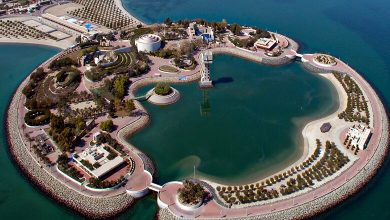 A Day in Green Island: Sun, Sand & Fun Under Arabian Sky