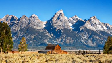 From Wildlife to Scenic Views: 8 of Jackson Hole Attractions