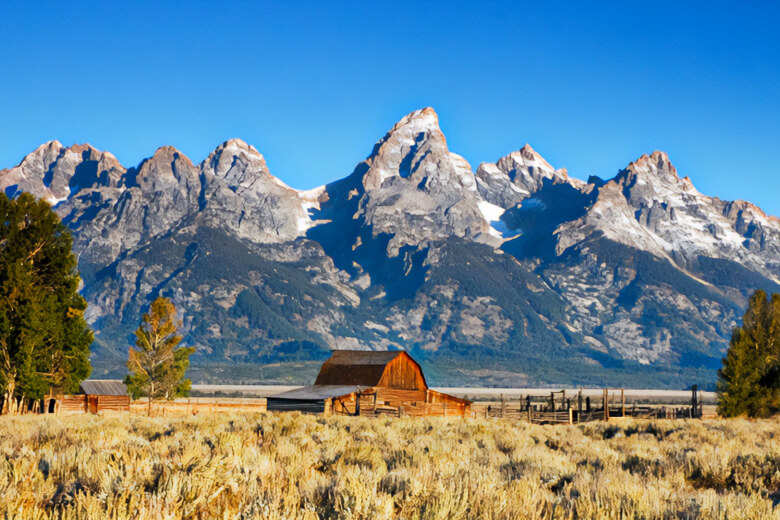 From Wildlife to Scenic Views: 8 of Jackson Hole Attractions