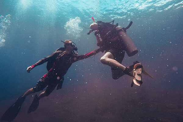 Scuba Diving in Qatar 