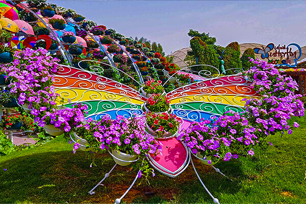 Dubai Butterfly Garden in Dubai Miracle Garden