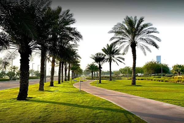 Nature of Al Bidda Park