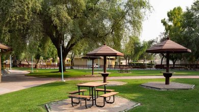 Exploring the Natural Wonder: Mushrif Park