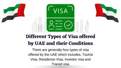 Study, Work or Explore: 7 Different Types of UAE Visas