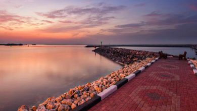 Marvels of Al Thakira Beach: Nature’s Playground in Qatar