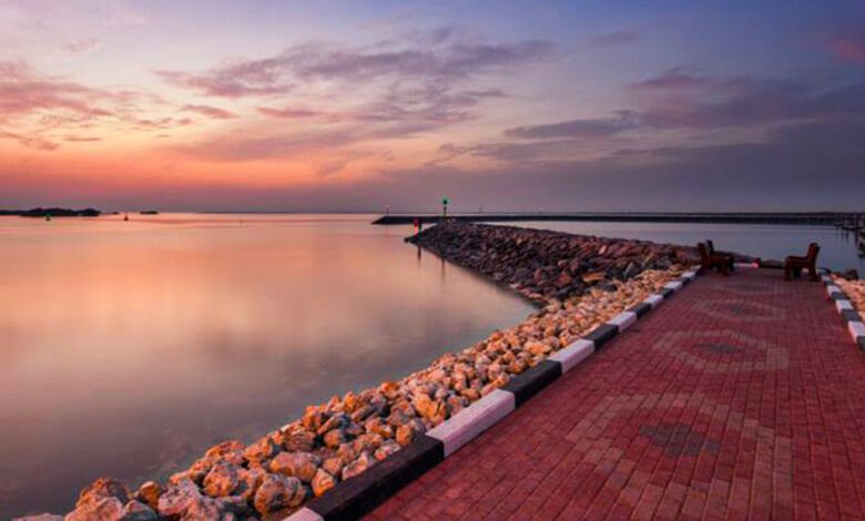 Marvels of Al Thakira Beach: Nature’s Playground in Qatar