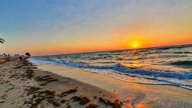 The Best of Sealine Beach: Top 4 Exciting Activities to Try