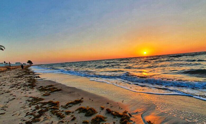 The Best of Sealine Beach: Top 4 Exciting Activities to Try