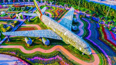 Floral Symphony: Captivating Sights at Miracle Garden Dubai