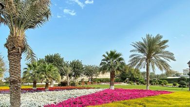 A Family-Friendly Retreat: Dahl Al Hamam Park's Delights