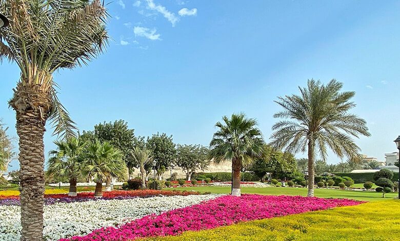 A Family-Friendly Retreat: Dahl Al Hamam Park's Delights