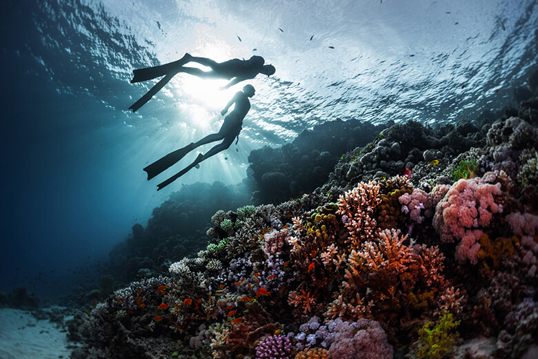 From the City to the Sea: Qatar Scuba Diving Escapes