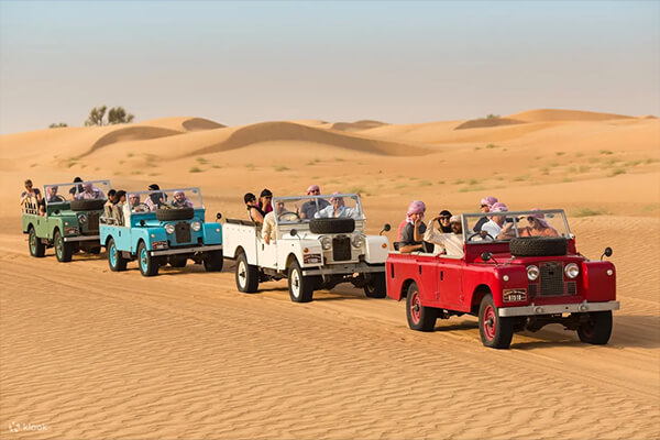 Safari in the Qatar desert