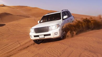 From Dune Bashing to Star Gazing: Qatar Desert Safari