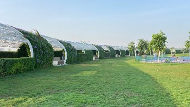 Ain Khalid Family Park: Qatar Tranquil Retreat for Families