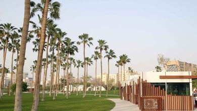 Unveiling the Beauty: Al Muntazah Park’s Grand Reopening