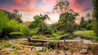 Madrid’s Royal Botanic Garden Guide