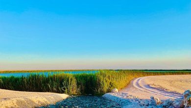 Al Karaana: A Reborn Oasis – From Pollution to Beauty