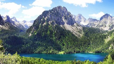 Natural Symphony: Top 11 National Parks in Spain