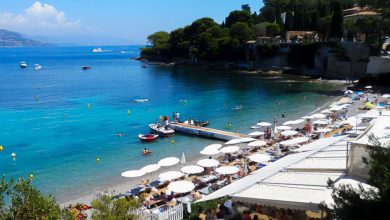Captivating Paloma Beach: Nature, Adventure, and Relaxation