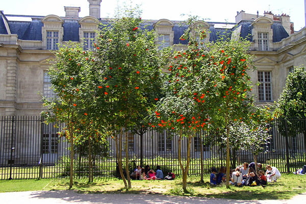 View of Anne-Frank Garden