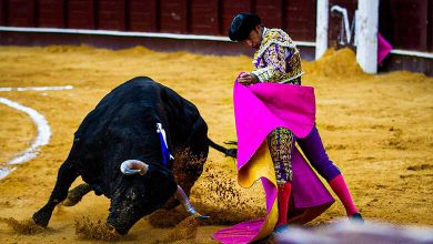 Corrida de Toros: Spain’s Bullfighting