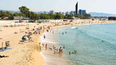 Barceloneta Beach: Sun, Sand, and Culture in Barcelona