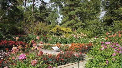 Bountiful Diversity: Highlights of Plant Life in Parc Floral