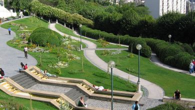 Experience Parc de Belleville: Views & Vineyards!