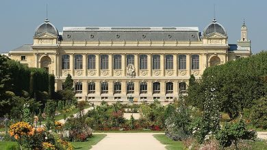 Paris’s Jardin des Plantes: History, Diversity, Beauty