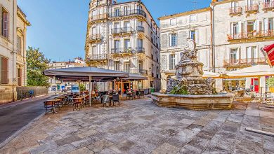 Top 15 Restaurants in Montpellier: A Gastronomic Journey