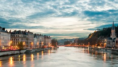 Savor the Best: Top 20 Lyon Restaurants & Dining Spots