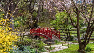 From Banker to Visionary: The Story of Albert Kahn Gardens