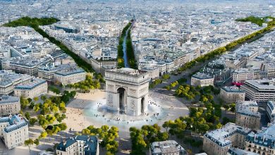 Champs-Élysées Shopping Guide: Luxury Finds and More