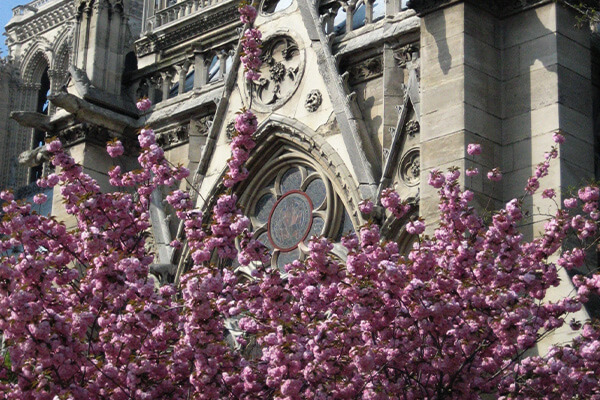 Travel to France in the spring