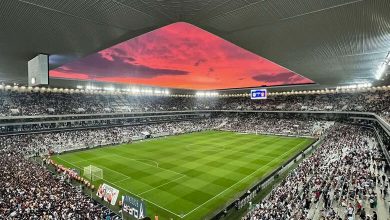 Bordeaux’s Matmut Atlantique Stadium Guide