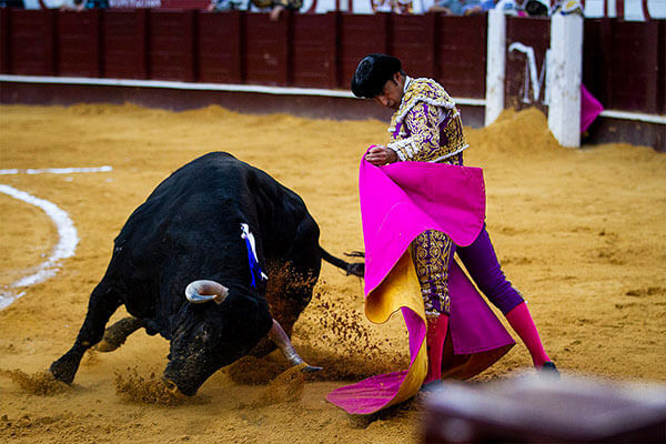 Corrida De Toros (Bullfigting) in Spain