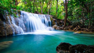 Thailand’s Erawan National Park